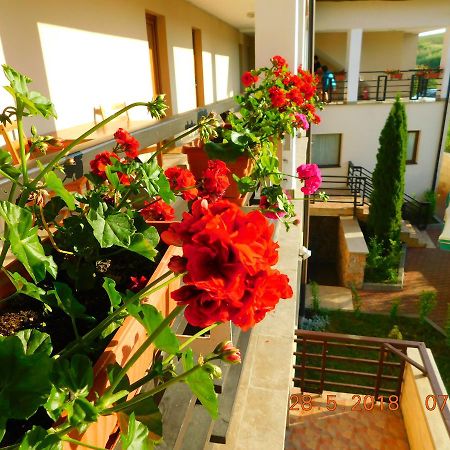 Pension Laura Cheile Turzii Petreştii de Jos Esterno foto