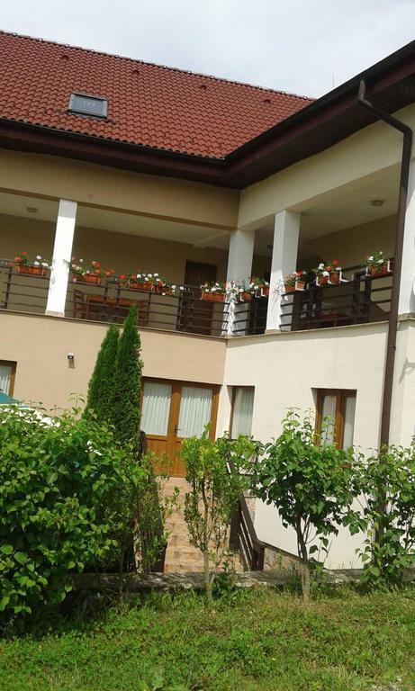 Pension Laura Cheile Turzii Petreştii de Jos Esterno foto