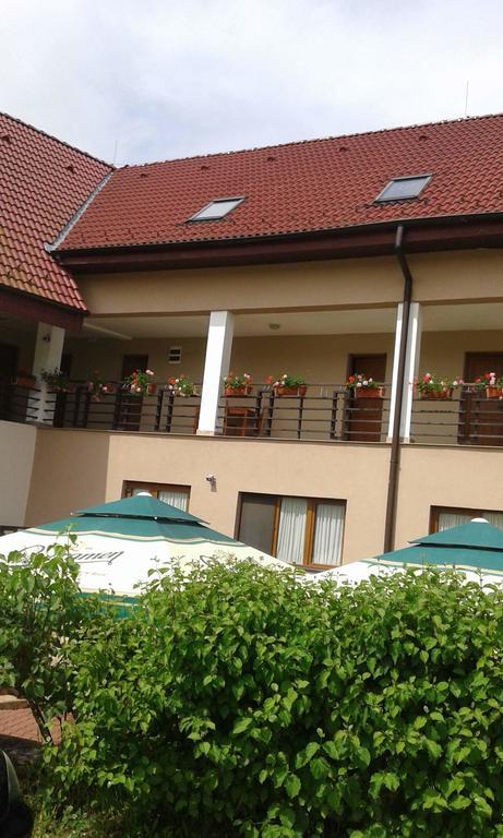 Pension Laura Cheile Turzii Petreştii de Jos Esterno foto