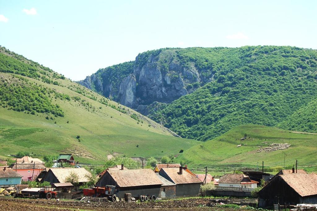Pension Laura Cheile Turzii Petreştii de Jos Esterno foto