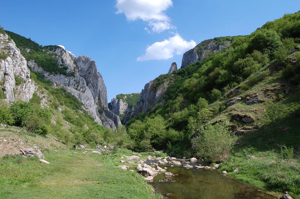 Pension Laura Cheile Turzii Petreştii de Jos Esterno foto