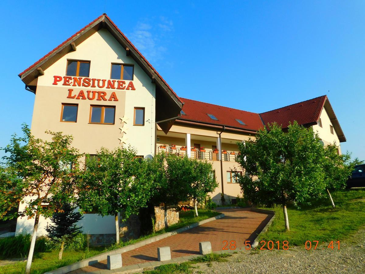 Pension Laura Cheile Turzii Petreştii de Jos Esterno foto
