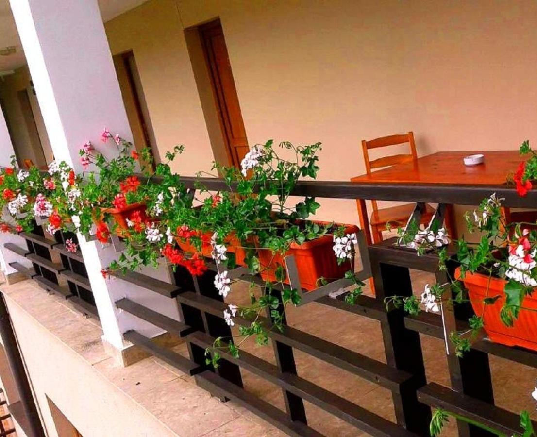 Pension Laura Cheile Turzii Petreştii de Jos Camera foto